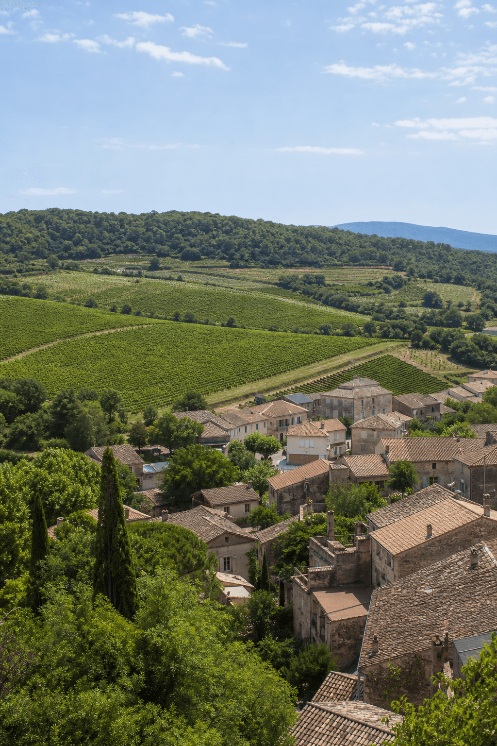 Prestataires événementiels à Ribaute-les-Tavernes