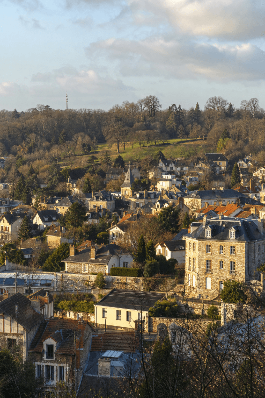 Prestataires événementiels à Soisy-sous-Montmorency